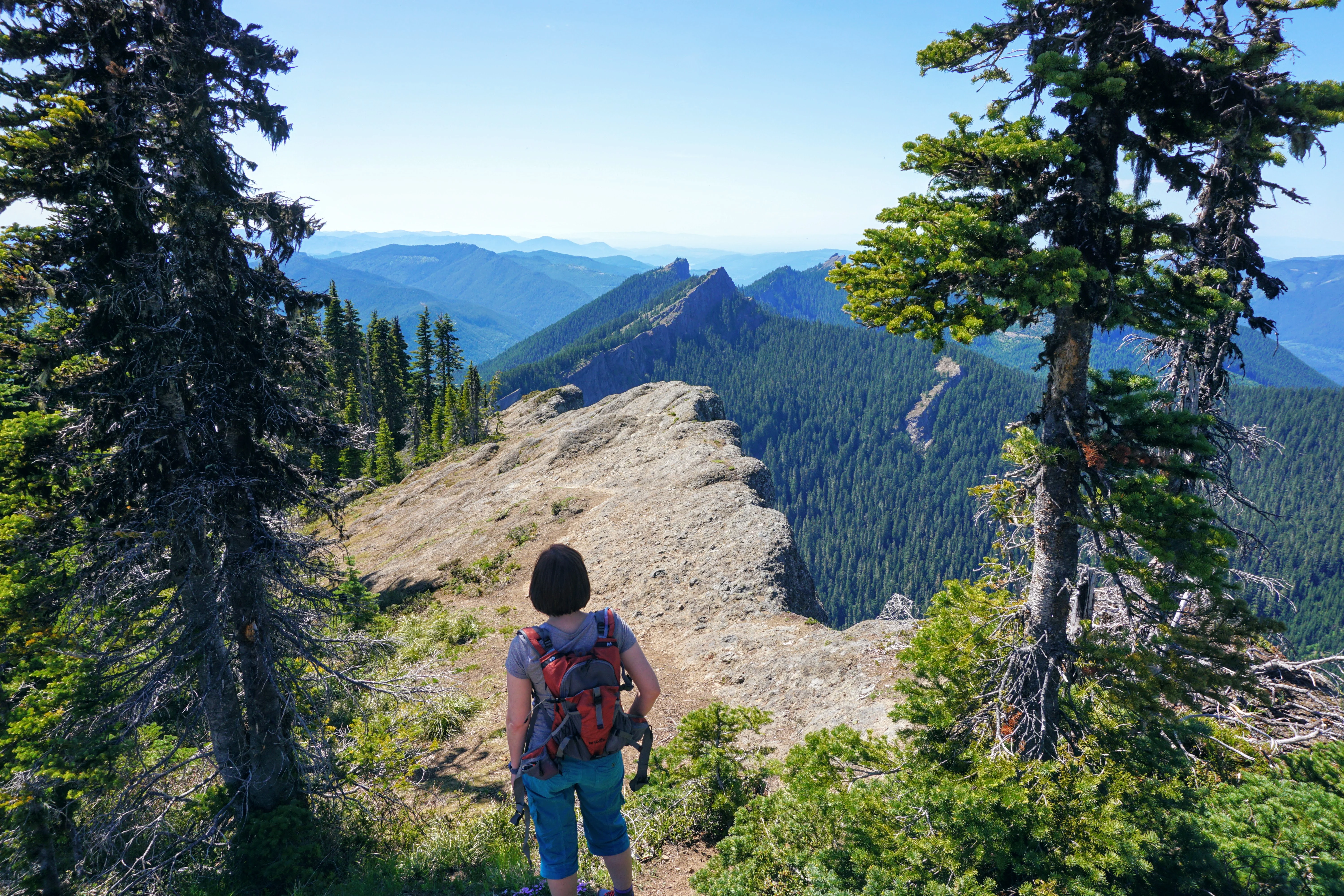 Stacy stands at High Rock Lookout, looking across the forested ridges of Sawtooth Ridge.